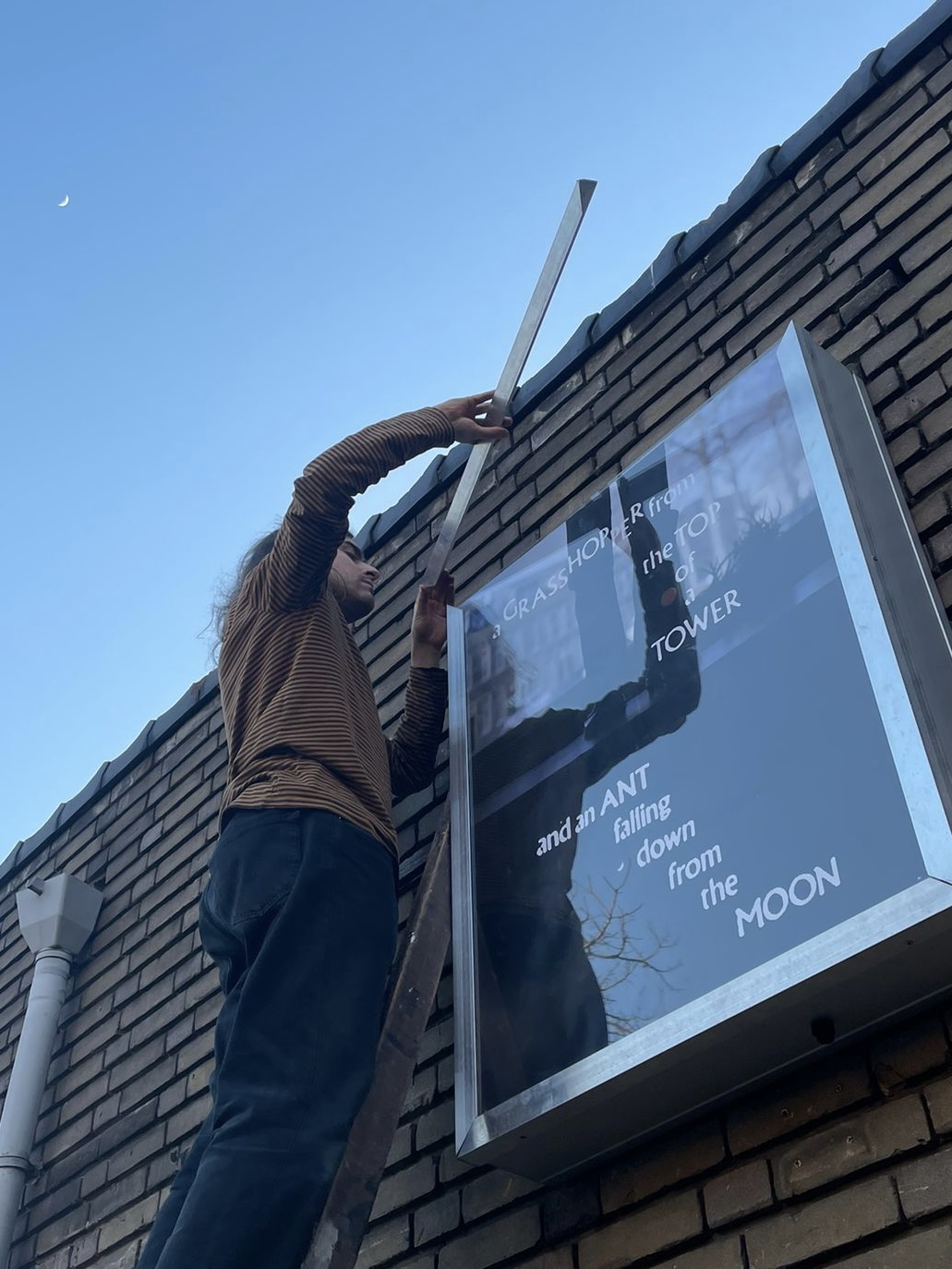 GRASSHOPPER exhibition poster